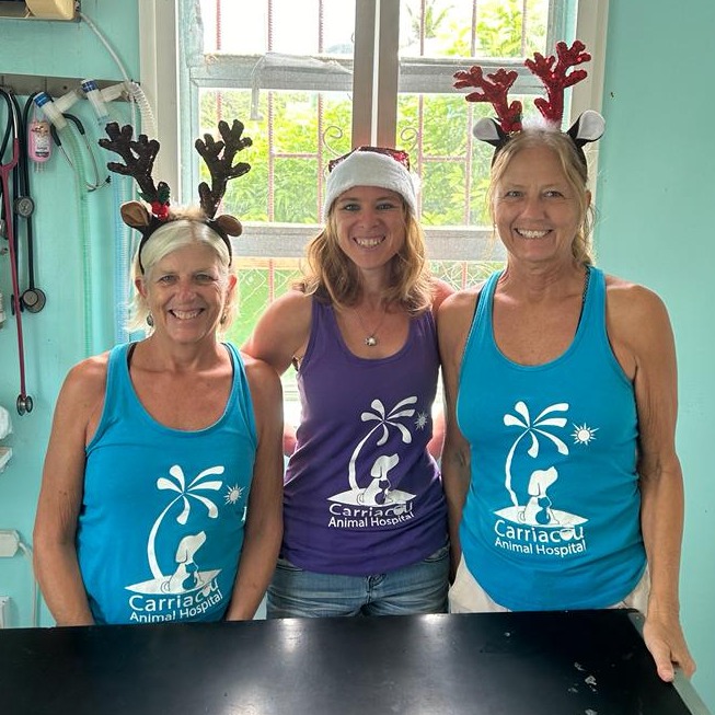 CAH volunteers in branded shirts at the clinic